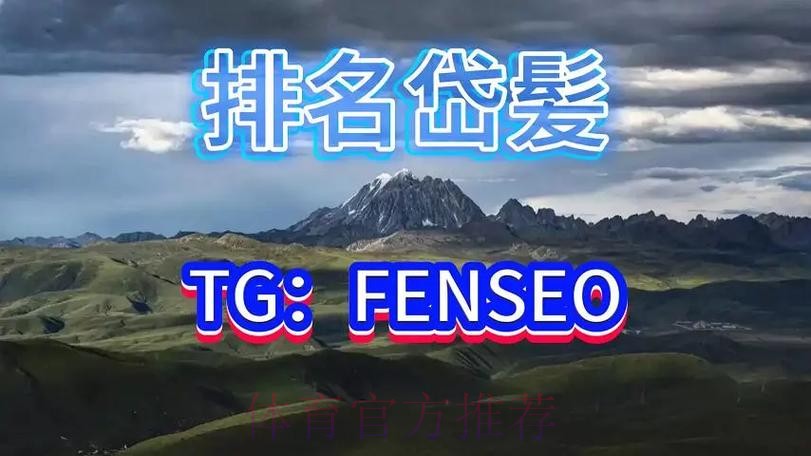 年度世界杯买球平台排行榜推荐